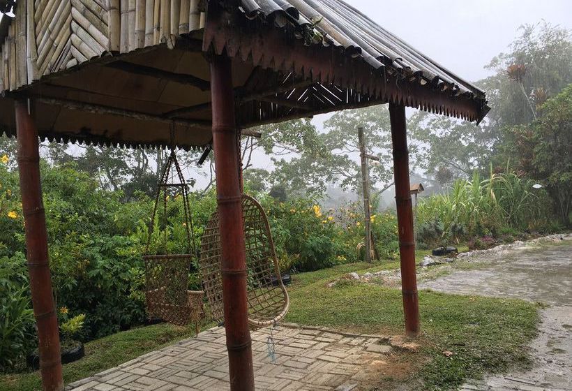 De  Native Guest House  Hostel