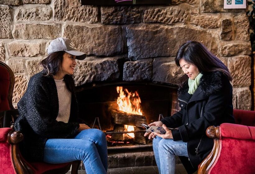 هاستل The Pickled Frog