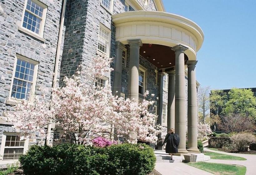 هاستل University Of King S College