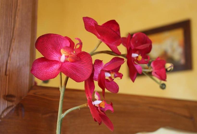 مبيت وإفطار Affittacamere Les Noyers