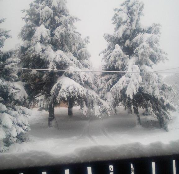 مبيت وإفطار Affittacamere Les Noyers