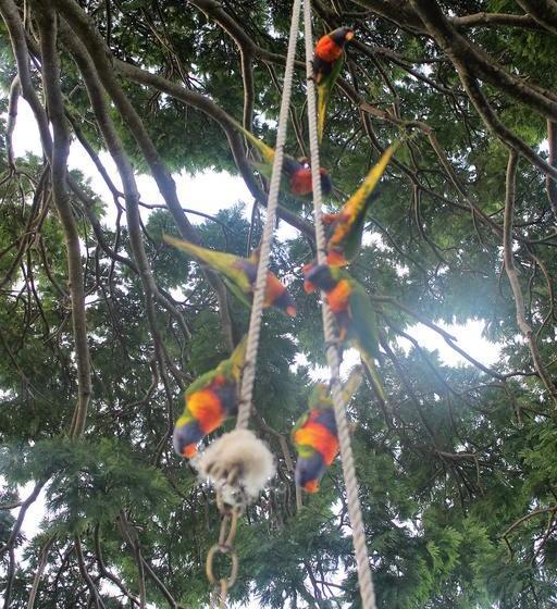 تختخواب و صبحانه Bed&Breakfast Whitsunday Moorings