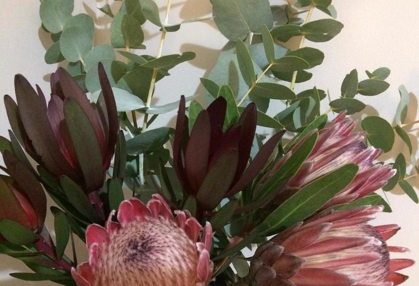 تختخواب و صبحانه Character & Charm In The Heart Of The City