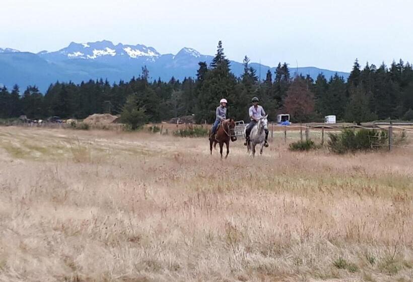 住宿加早餐 Paradise Acres Ranch