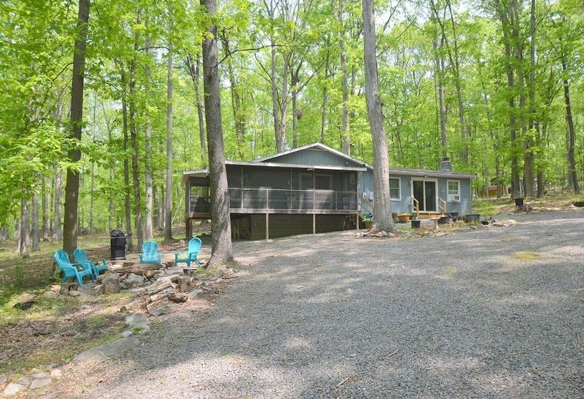 Bear Necessities  Forget Your Worries!