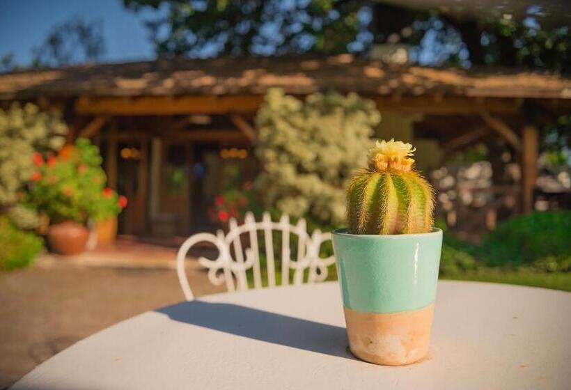 تختخواب و صبحانه Casa De Coria