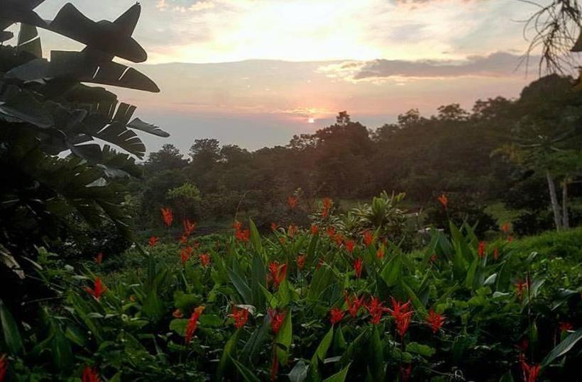 민박 Hale Hualalai