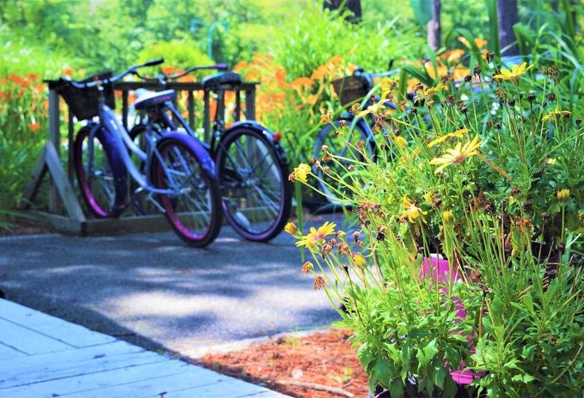 تختخواب و صبحانه Meris Gardens Bethany