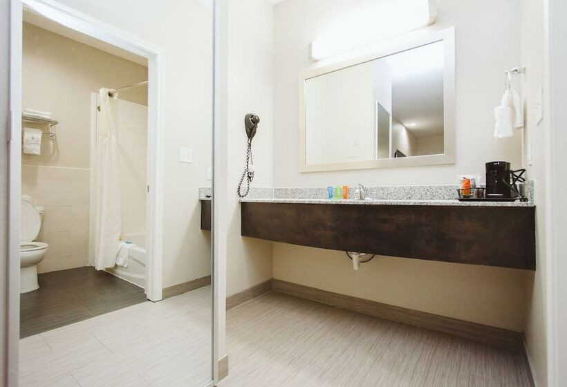 هتل Americas Best Value Inn And Suites Iah Airport North