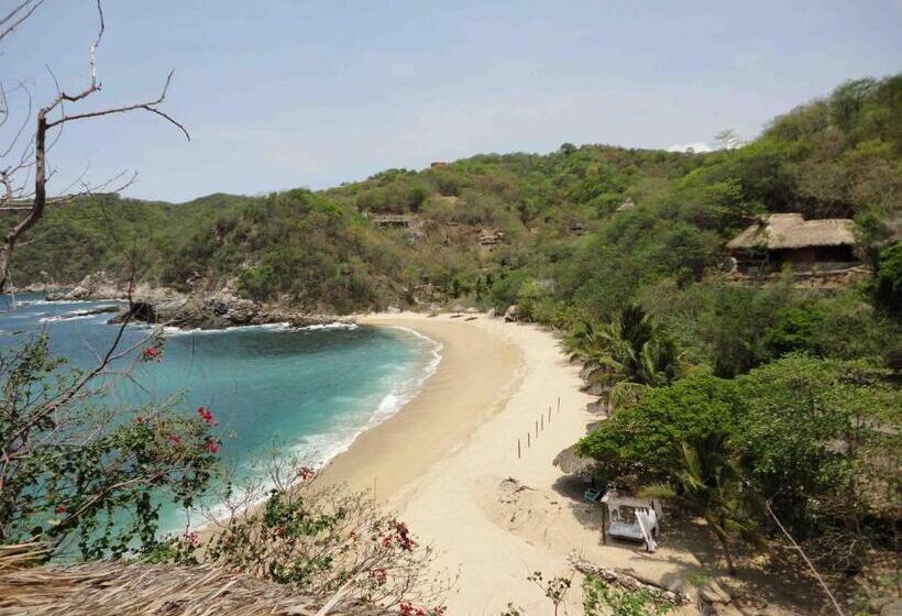 فندق Casa Luna Playa