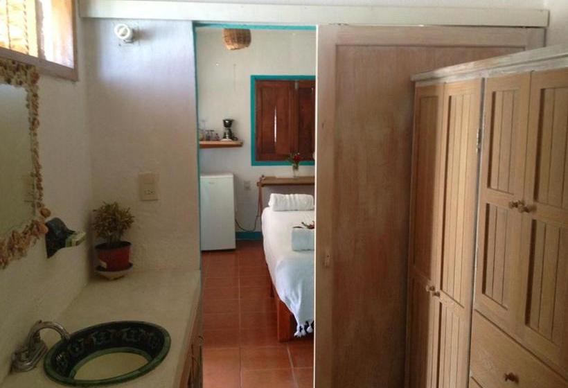 فندق Casa Luna Playa