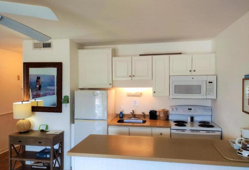 酒店 Sandpeddler Inn And Suites