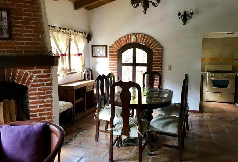 فندق Spa Holistico Real