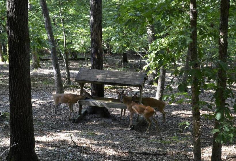 مُتل Apple Blossom Inn