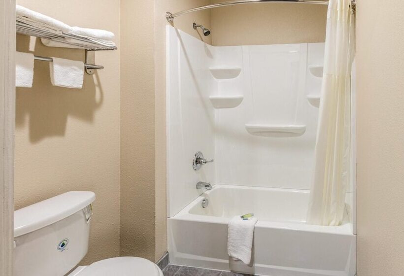 汽车旅馆  Scottish Inns & Suites