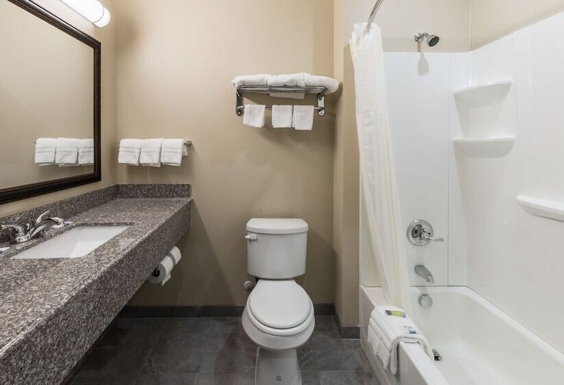 汽车旅馆  Scottish Inns & Suites