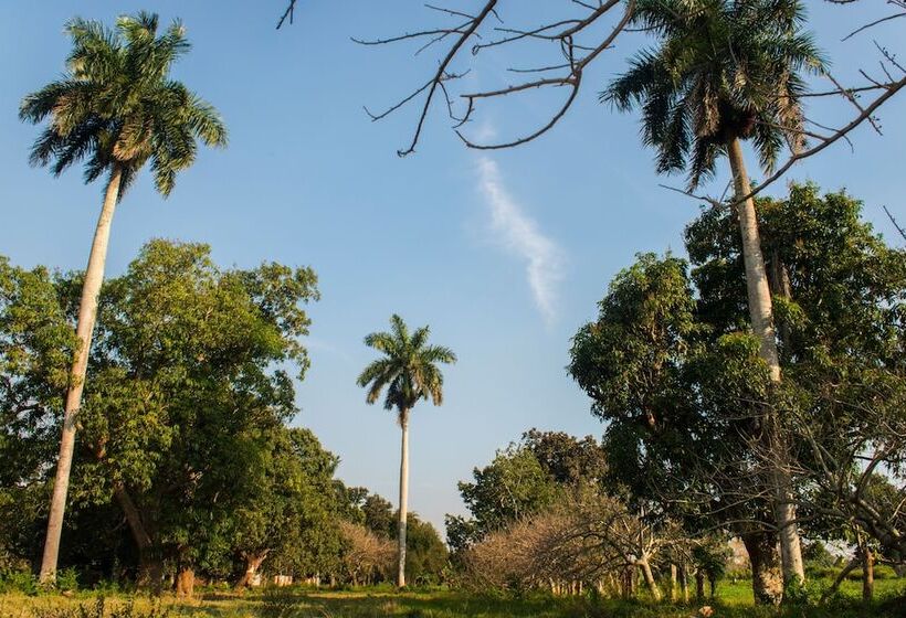 تختخواب و صبحانه Hostal Doña Amalia Cuba