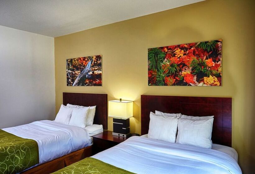 酒店 Ornl Guest House