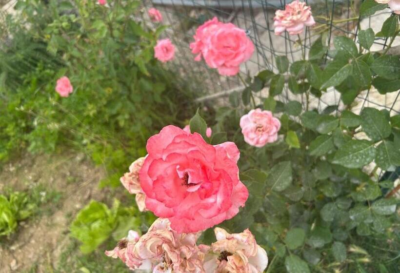 צימר La Raganella D Oro