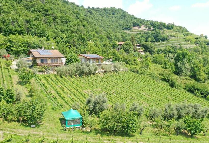 酒店 Agriturismo Cà Del Manenti
