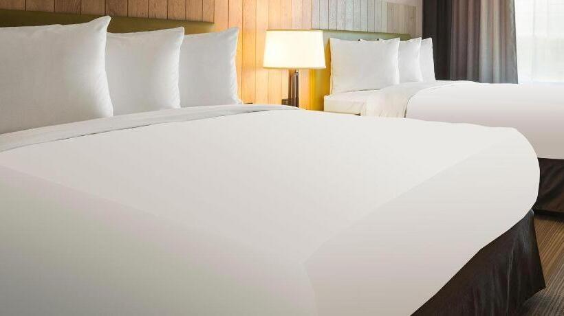 בית מלון כפרי Country Inn & Suites By Radisson, Jackson Airport, Ms