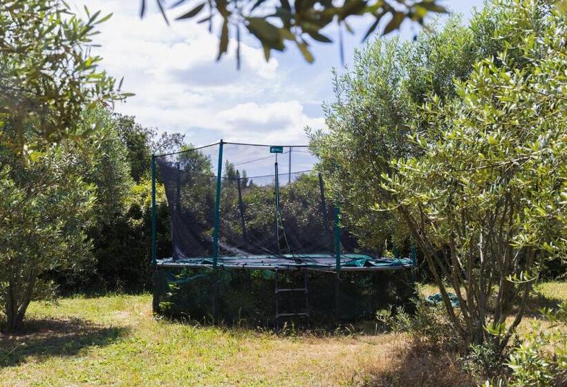민박 Chambre Voile De Soie   Homestay   Chez Manon En Luberon