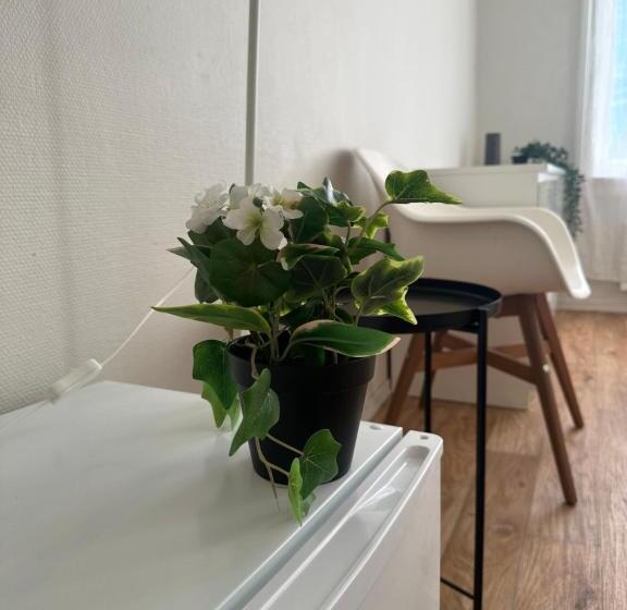 بنسيون Oslo Center President Suites