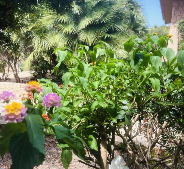 بنسيون Happy Room With Garden And Terrace