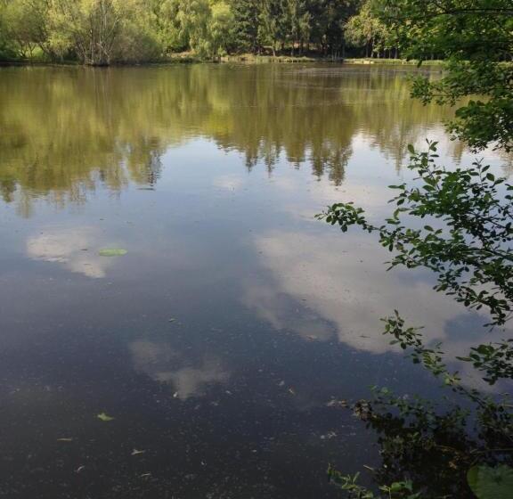 ペンション Ressourcement En Nature De Brocéliande