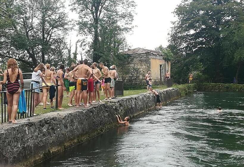 هاستل Dali S Guest House