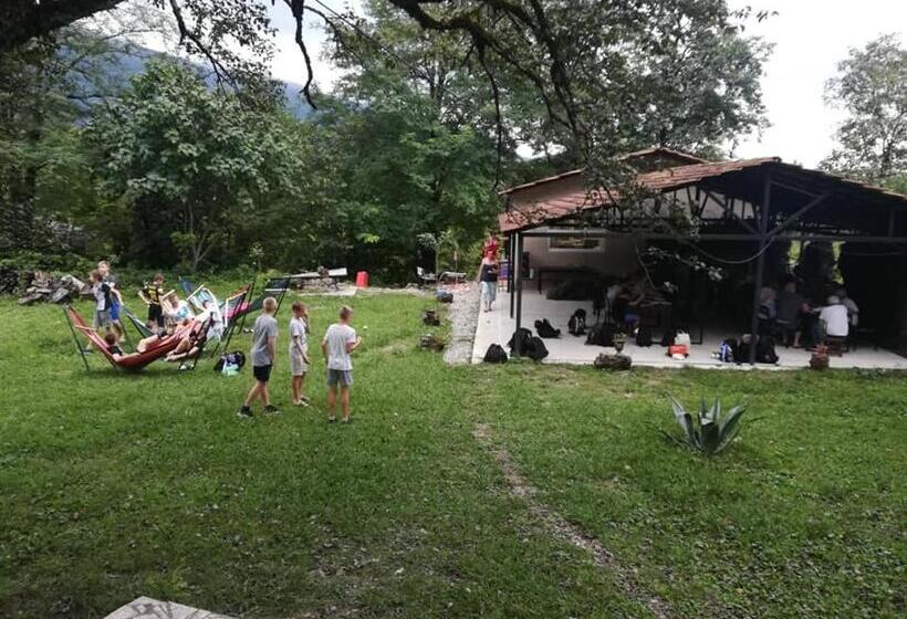 هاستل Dali S Guest House