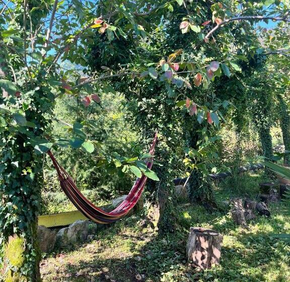 هاستل Dali S Guest House