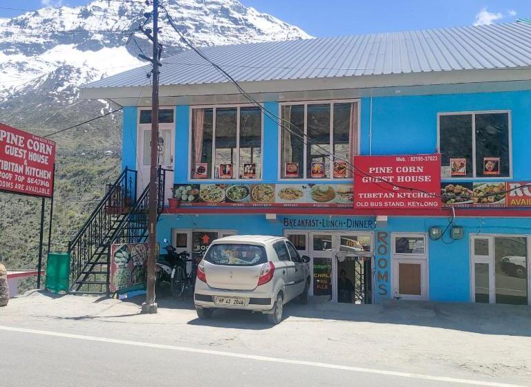 Отель Pine Corn Guest House