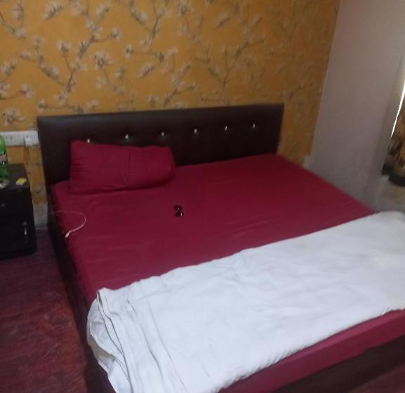 Отель Platinum Inn