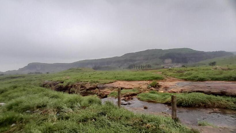 הוסטל Clouded Leo Inn