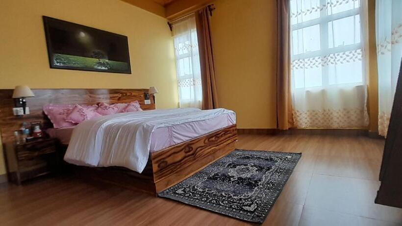 הוסטל Clouded Leo Inn