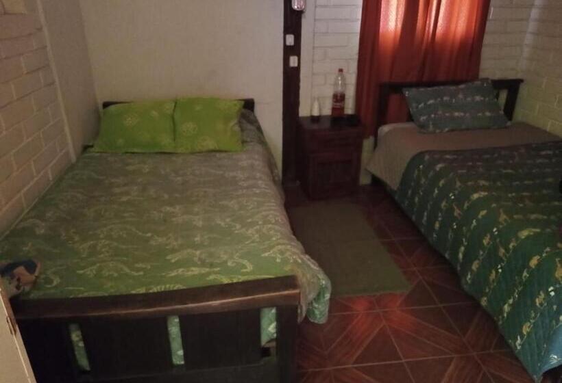 ユースホステル Hostal El Río