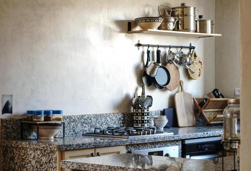 هاستل The Line Up