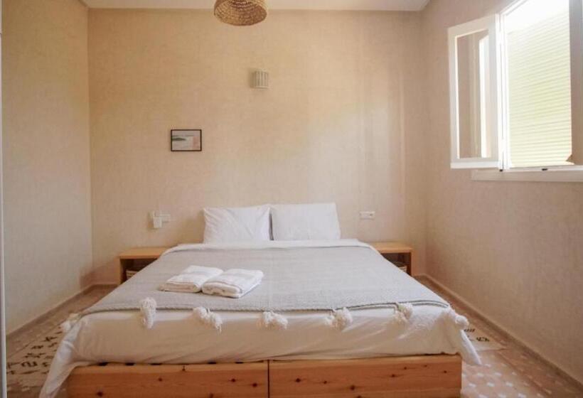 هاستل The Line Up