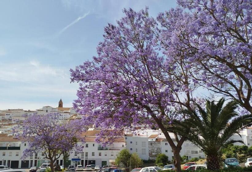 تختخواب و صبحانه Casa Aljibe