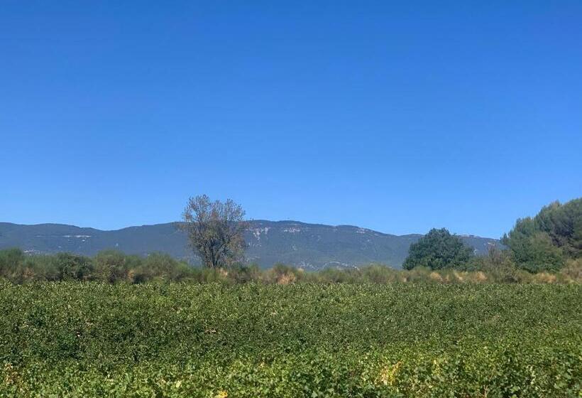 住宿加早餐  Côté Ansouis