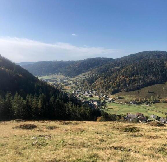 펜션 Forest Apartment Mountain Escape Menzenschwand
