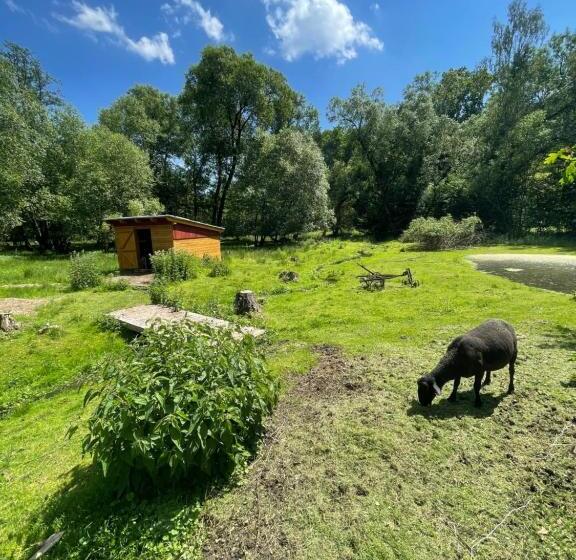 膳宿费 Penzion černý Mlýn