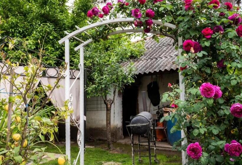 Schronisko Lemon Garden