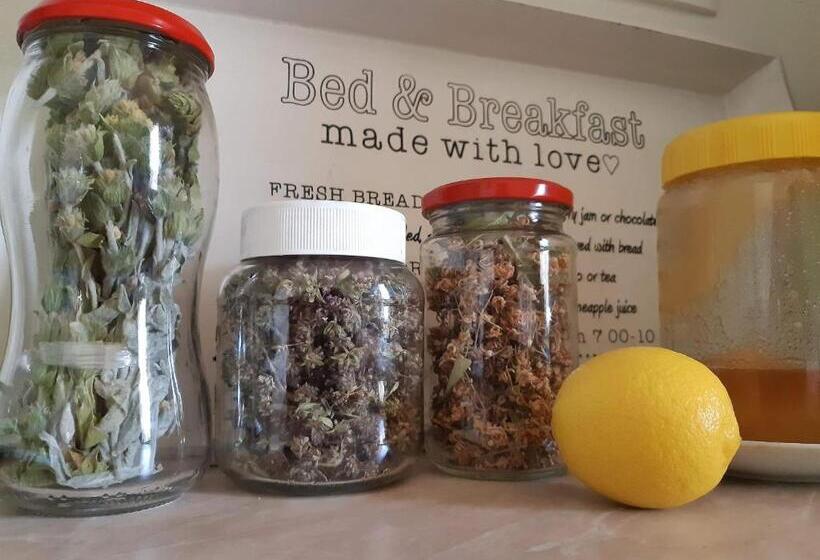 Schronisko Lemon Garden