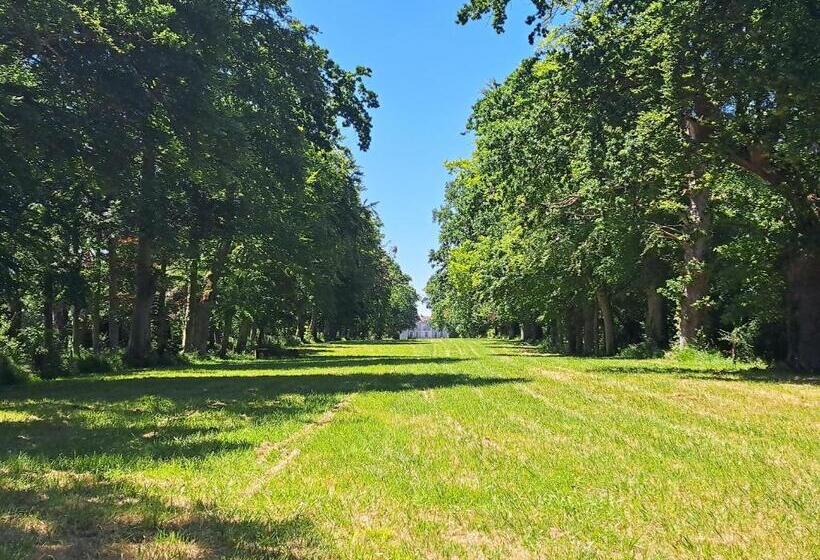 مبيت وإفطار Château D Agy