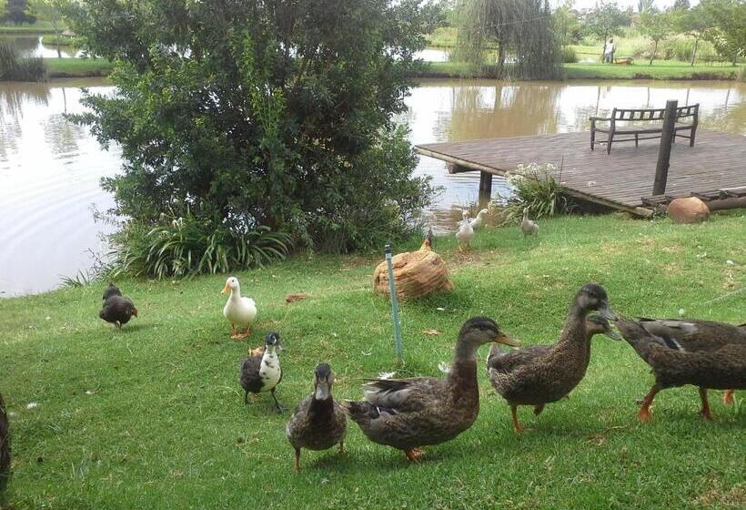 צימר Klitzgras Chalets