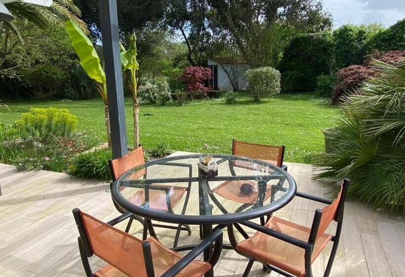 Bed and Breakfast La Maison De Lison
