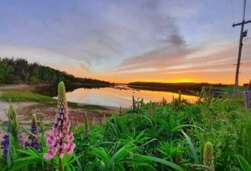 Clinton Pond Bed And Breakfast