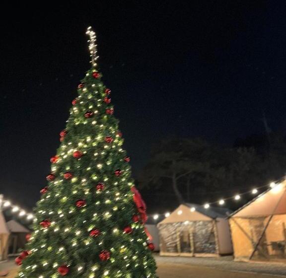 膳宿费 Damyang Raon Glamping